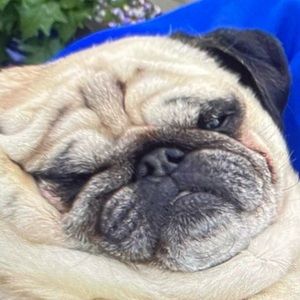 Meet your Posher, Kate